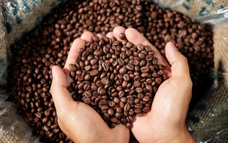 تاريخ القهوة في مصر